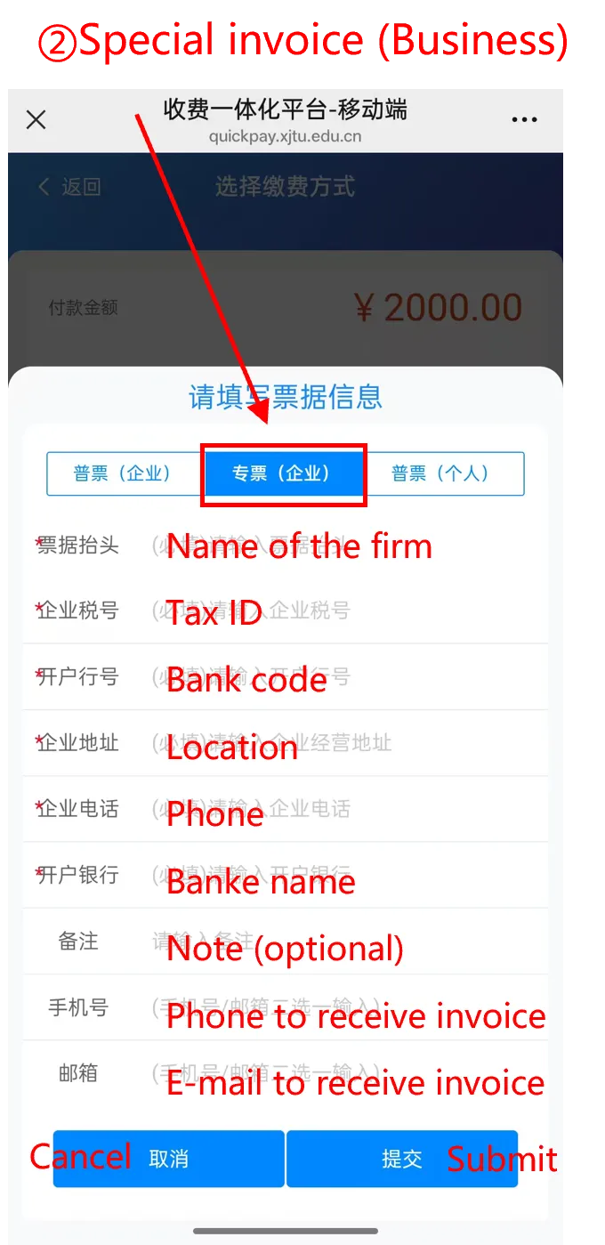 5.webp